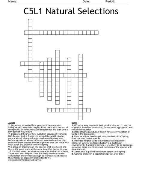 set of selections crossword|menu selection crossword.